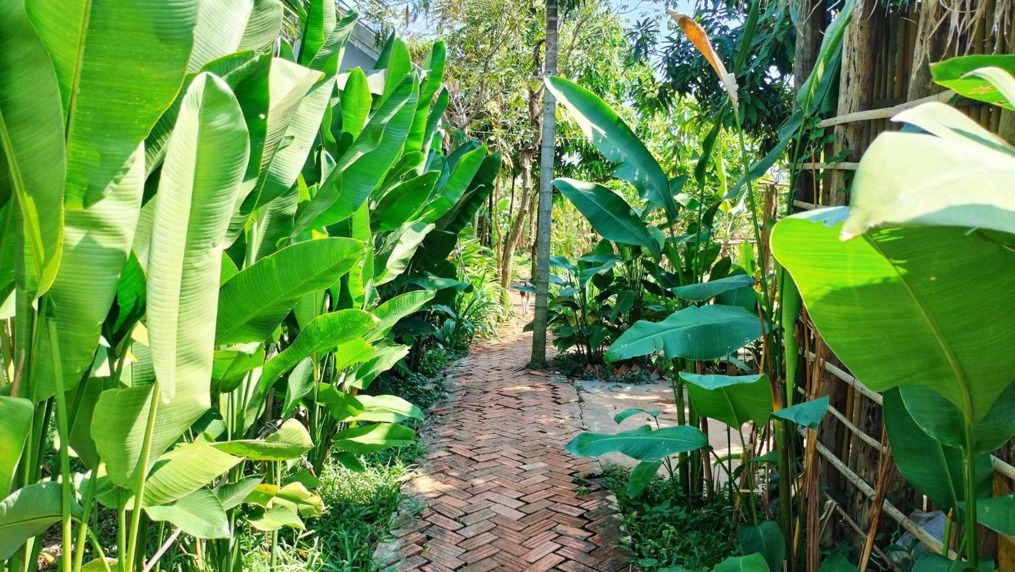 Urban Farmhouse Siem Reap Luaran gambar