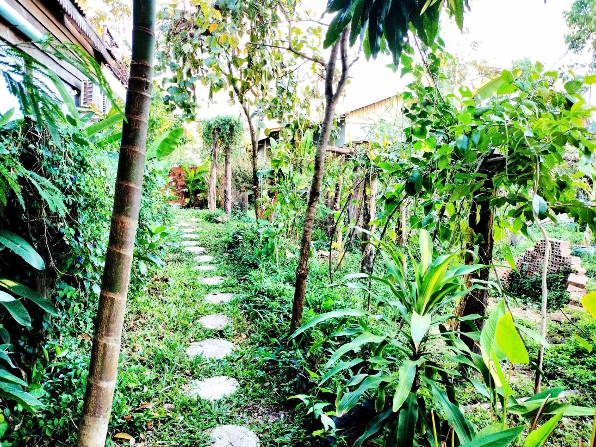 Urban Farmhouse Siem Reap Luaran gambar