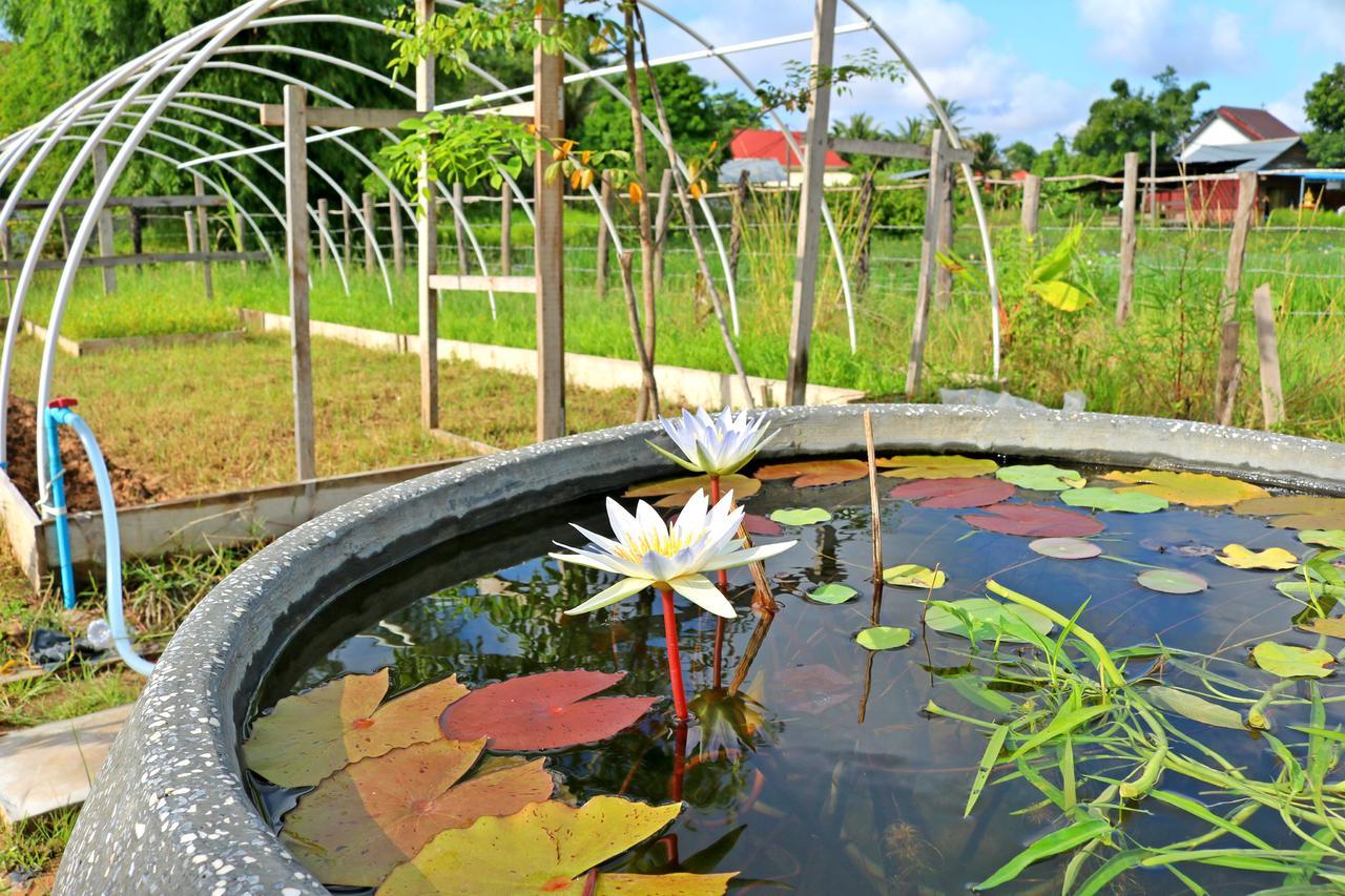 Urban Farmhouse Siem Reap Luaran gambar